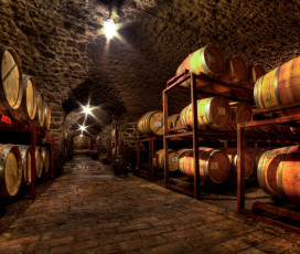 A Look At The Wine Cellar - Argiano
